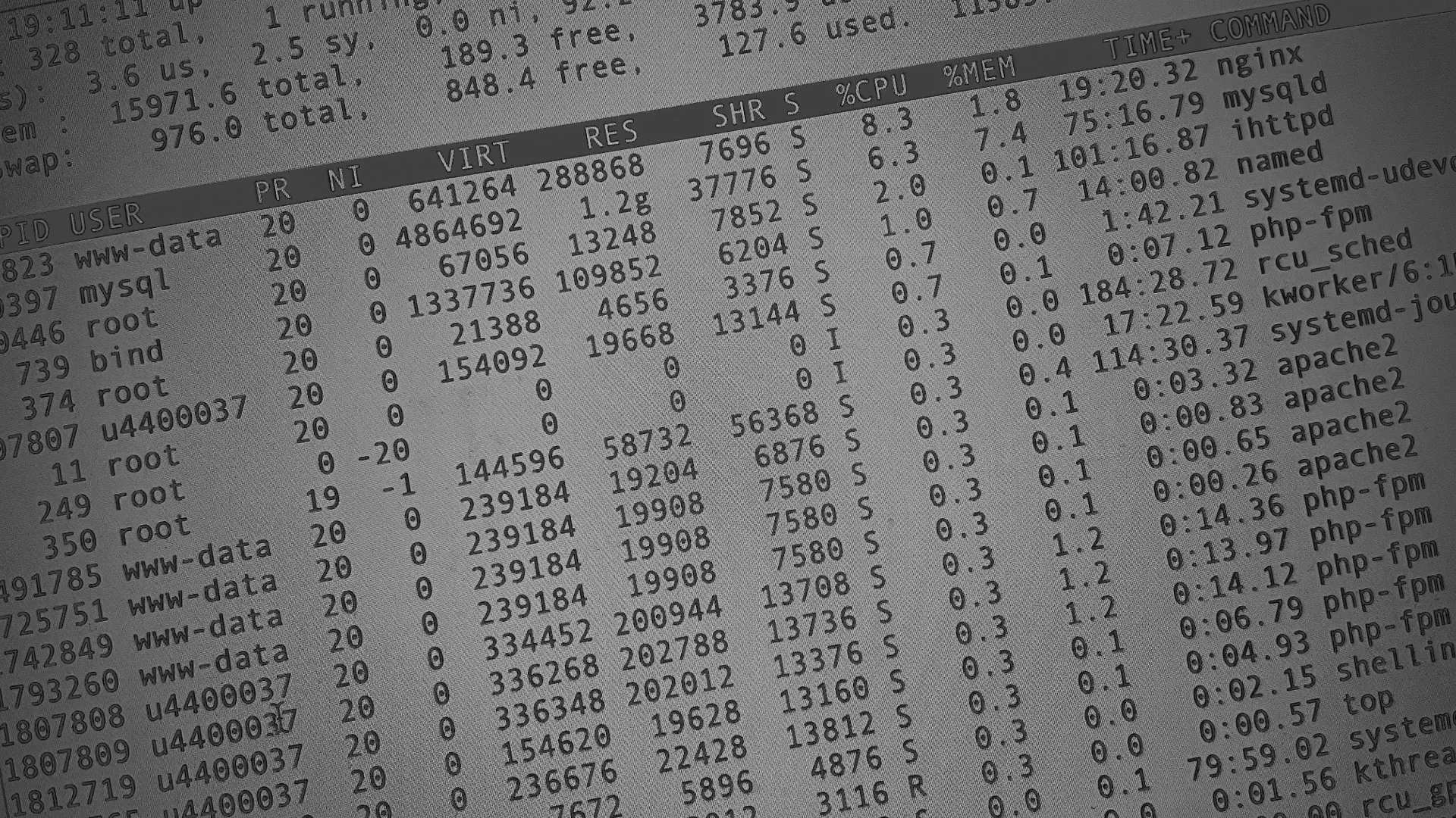 Настройка сервера в Карталах