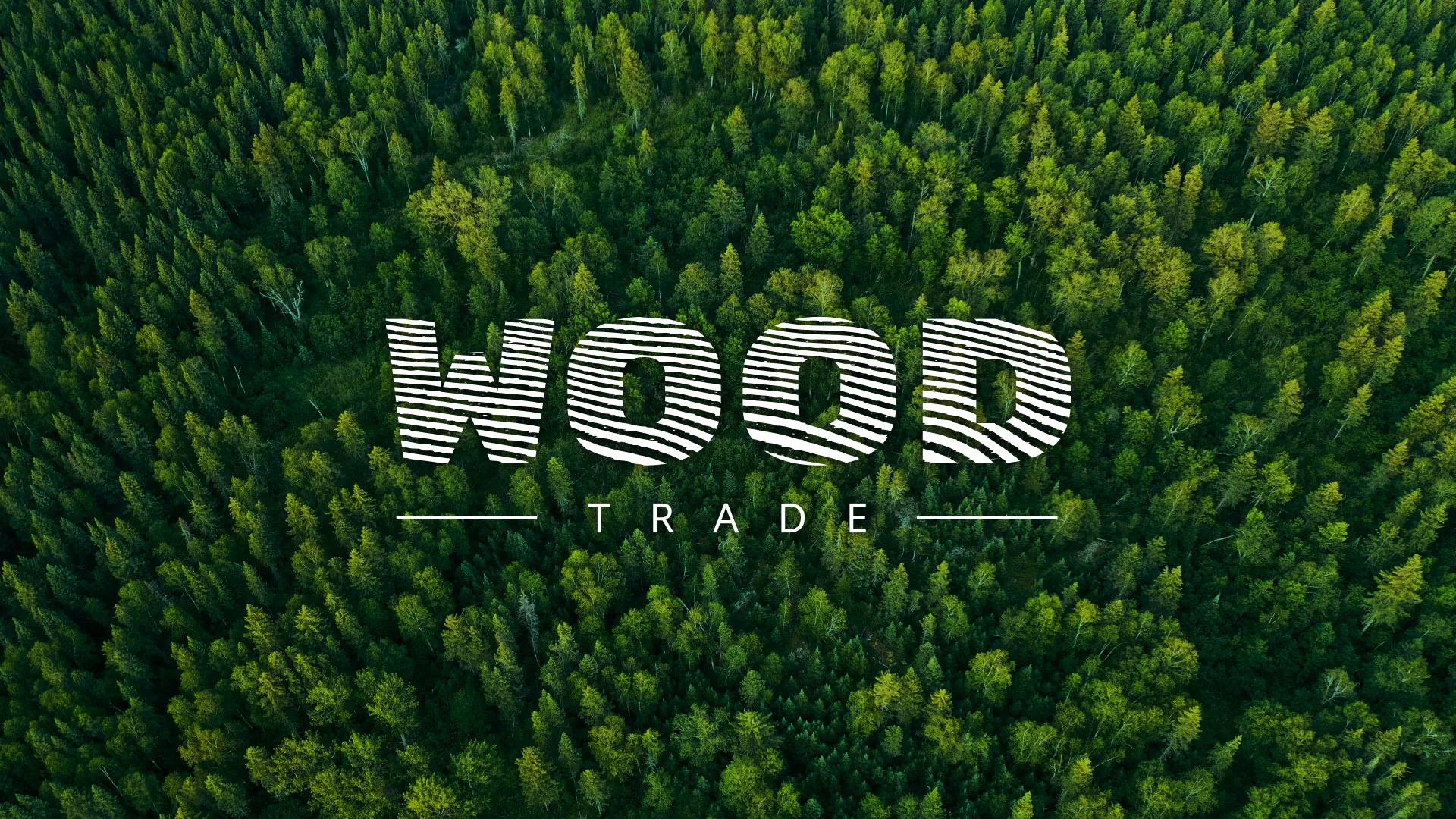 Разработка интернет-магазина компании «Wood Trade» в Карталах